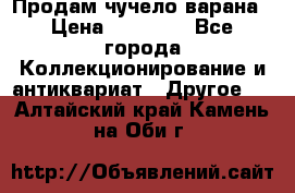 Продам чучело варана › Цена ­ 15 000 - Все города Коллекционирование и антиквариат » Другое   . Алтайский край,Камень-на-Оби г.